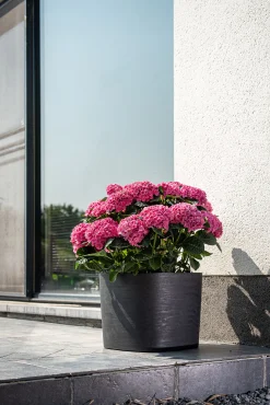 ohgreen Pot Respect met reservoir 20x20h17 zwart-antraciet