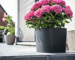 ohgreen Pot Respect met reservoir 40x40h30 zwart-antraciet