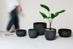 ohgreen Pot rond crest