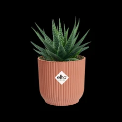 ohgreen Pot vibes fold 7cm delicate roze