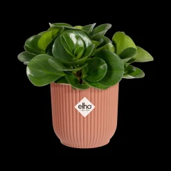 ohgreen Pot vibes fold 11cm delicate roze