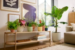 ohgreen Pot vibes fold 22cm diepblauw