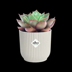 ohgreen Pot vibes fold 11cm zijdewit