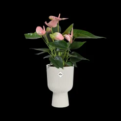 ohgreen Pot vibes fold coupe 14cm zijdewit