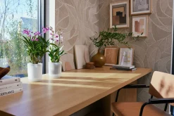 ohgreen Pot Vibes fold orchidee