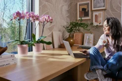 ohgreen Pot Vibes fold orchidee