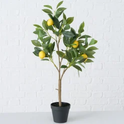 ohgreen Potplant Citroen