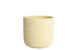 ohgreen PRIMROSE Minipot D11