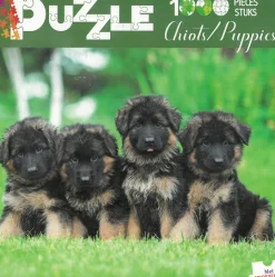 ohgreen Puzzle 1000 stuks Chiots/Puppies
