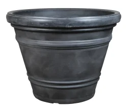 ohgreen Rinca doppio vintage ant d102