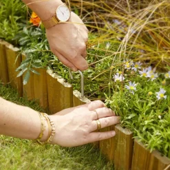 ohgreen Rolboduur Cala