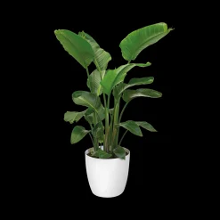 ohgreen Rond wielen 47cm