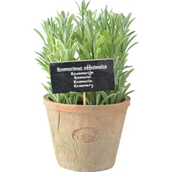 ohgreen Rosemarijn in at pot l