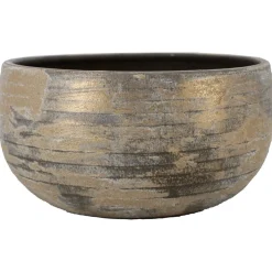 ohgreen Schaal funchal