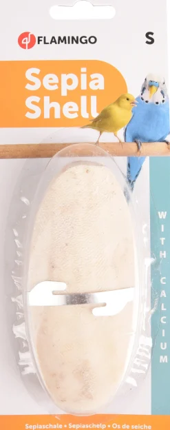 ohgreen Sepia schelp op kaart 11cm 2st