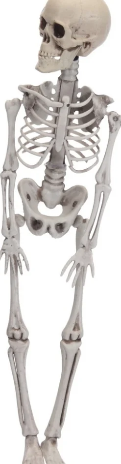 ohgreen Skelet decoratie