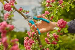 ohgreen Snoeischaar EasyCut