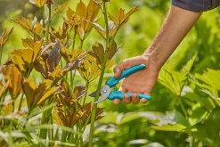 ohgreen Snoeischaar EasyCut