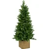ohgreen Snowy norfolk entr. tree pot 137cm 200l transfo