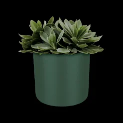 ohgreen SOFT ROND 14CM BLAD GROEN