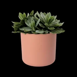 ohgreen SOFT ROND 14CM DELICAAT ROZE