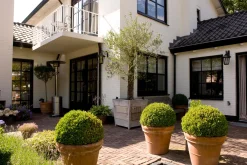 ohgreen Solarspot Salamanca