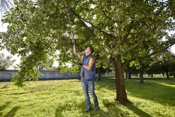 ohgreen Takkenschaar StarCut 160 plus