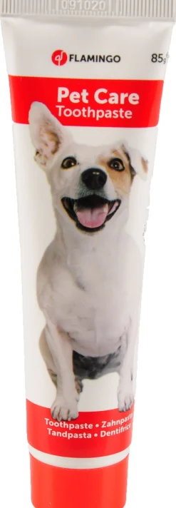 ohgreen Tandpasta 85gr