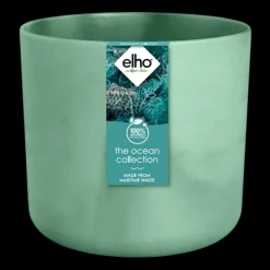 ohgreen The Ocean Collection 14cm Pacific green