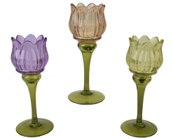 ohgreen Theelichthouder glas dia7.50-h22.50cm assortie
