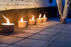 ohgreen Tuinkaars in ronde terracotta schaal wit 11u - zwart