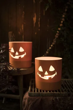 ohgreen Tuinkaars Royal flame in terracotta schaal 13u - ivoor