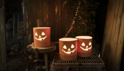 ohgreen Tuinkaars Royal flame in terracotta schaal 13u - ivoor