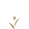 ohgreen Tulp metaal goud s (8x4x30cm)