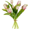 ohgreen Tulpenbundel creme/roze