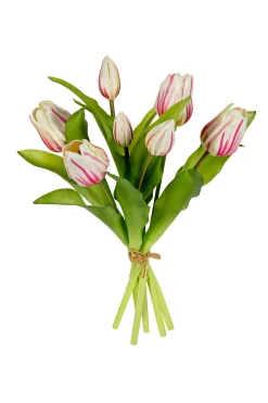 ohgreen Tulpenbundel creme/roze