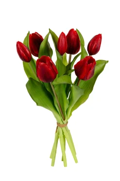 ohgreen Tulpenbundel donker rood