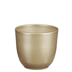 ohgreen Tusca pot rond goud - h11xd12cm
