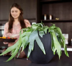 ohgreen Vaas bol groove 21x19