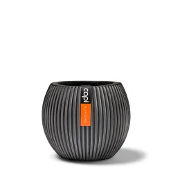 ohgreen Vaas bol Groove 29x26