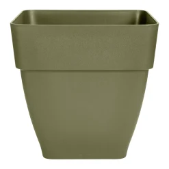 ohgreen VIERKANT 30CM SALIEGROEN