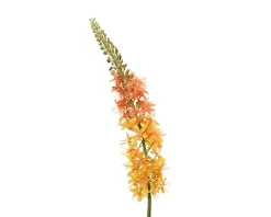 ohgreen Vossenstaart