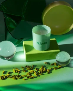 ohgreen We are kaars re:born