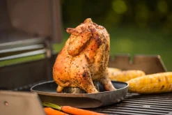 ohgreen WEBER DELUXE GEVOGELTESTOMER