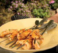 ohgreen WEBER GRILLROOSTER EN SPIESENSET