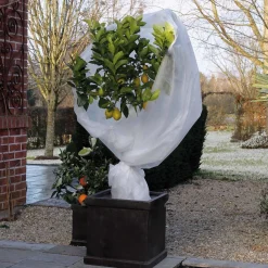 ohgreen Winterafdekvlies 2x5m wit 30g/m²