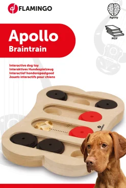 ohgreen Wooden brain train apollo 30x20cm