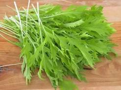 ohgreen Zaden: aziatischesla mizuna