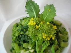 ohgreen Zaden: raapstelen cima de rapa