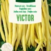 ohgreen Zaden struikboon victor 100g